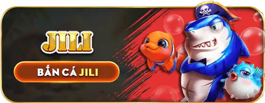 Phân tích hiệu suất xo68 win